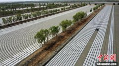 新疆棉花财产升级：科技沉塑出产链 市场驱动新